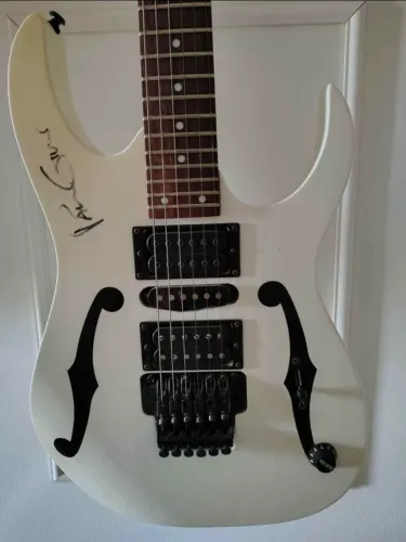 Guitarra Ibanez PGM
