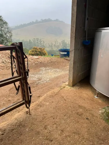 Serviço na roça