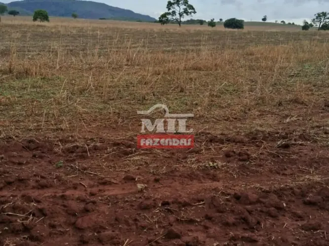 Fazenda 67 Alqueires (324 Hectares) Goianésia - GO