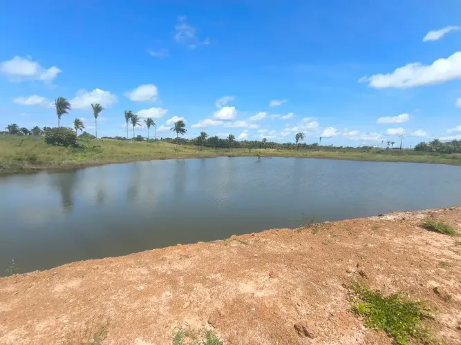 FAZENDA À VENDA  MIRANDA DO NORTE/MA