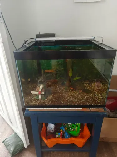 Aquário 70 litros