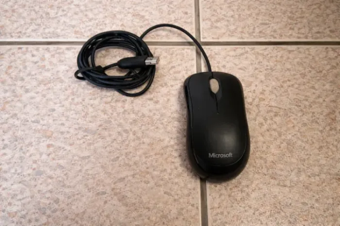 Mouse Microsoft Basic Optical (Usado)