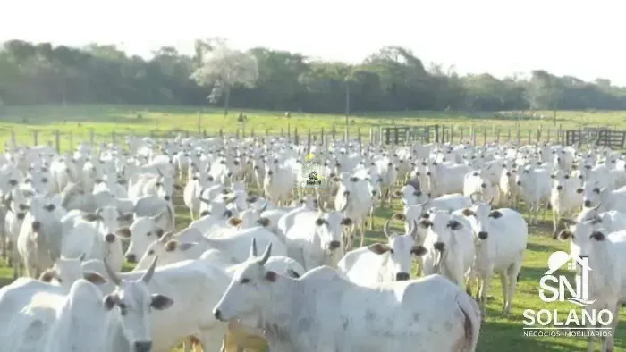 Espetacular Fazenda Bodoquena a Venda com 45.000 / 49.000 hectares na Região Oeste de MS.