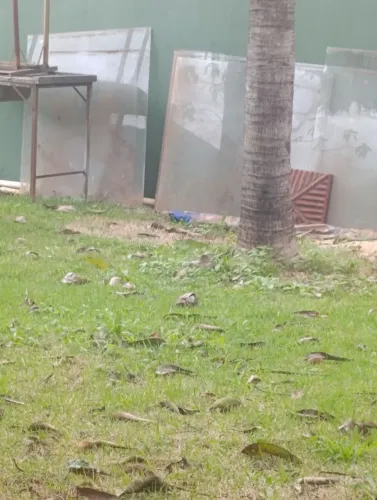 Doa-se vidro diversos temperado e normal