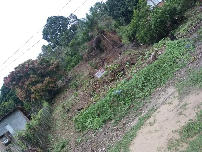 MATA SÃO JOÃO 20 por 60 total 1.200  metros 