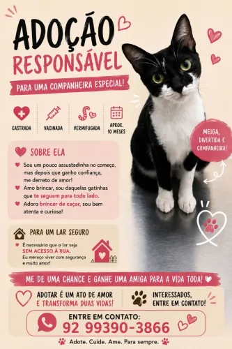 Adoção Responsável Gatinha Fêmea Castrada