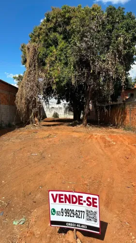 Lote Grande à Venda