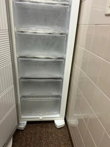 FREEZER ELETROLUX