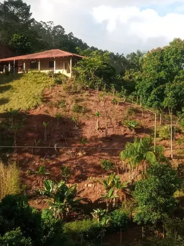 Vendo linda propriedade