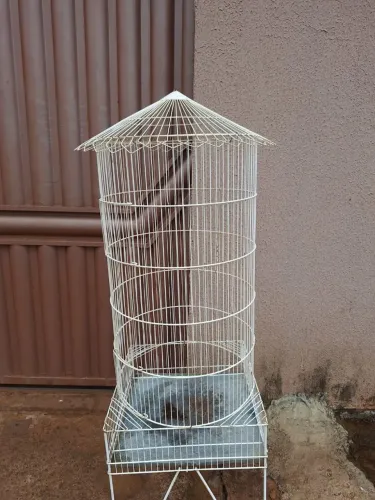 Gaiola para aves