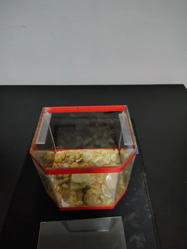 Mini aquário