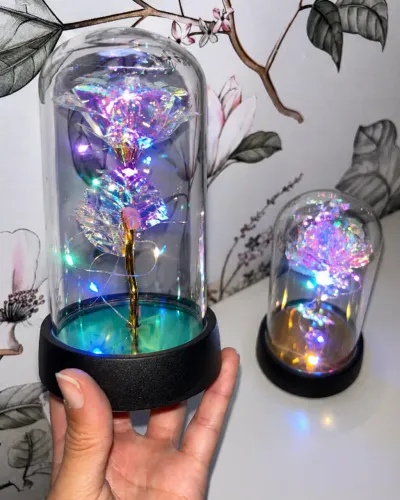 Rosa Bela e a Fera Encantada na Cúpula - Decoração Romântica