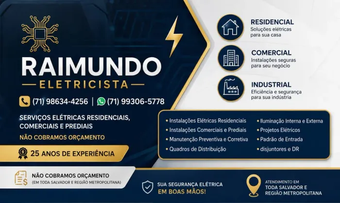 Eletricista Profissional 