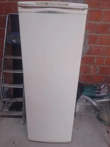 Freezer vertical