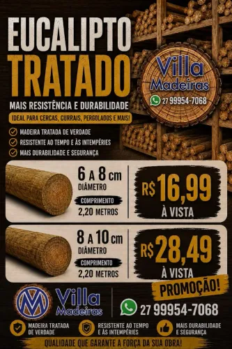 Eucalipto tratado