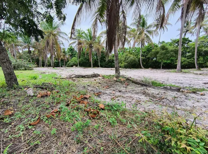 Super oportunidade - Porto de Galinhas