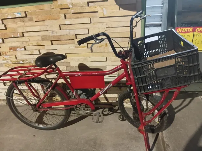 Bicicleta de carga