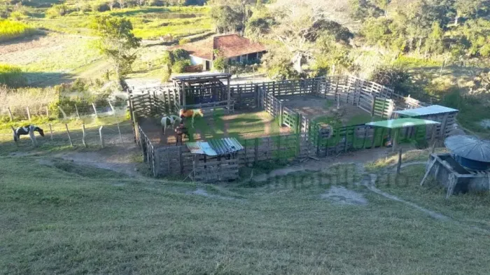 FAZENDA FORMADA EM PASTO Á VENDA EM CUNHA-SP