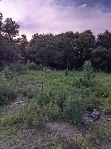 Vendo terreno na Serrinha