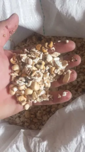Farelo de Biscoito, Salgadinho e Pipoca