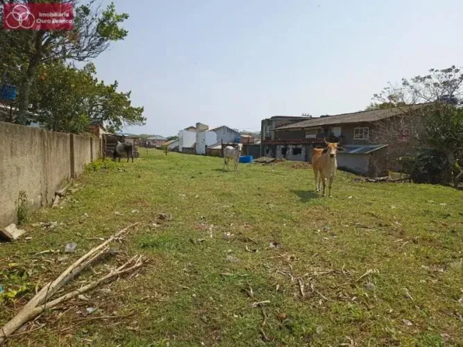 Terreno - Florianópolis SC
