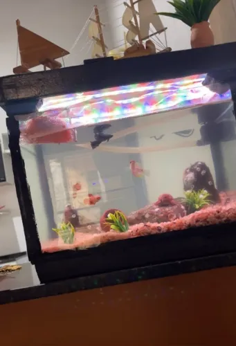 Vendo Lindo Aquário de 30 litros