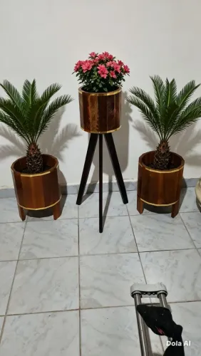 Conjunto de vasos para plantas de madeira