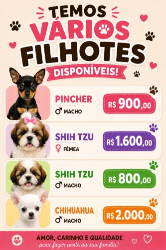 Filhotes de cachorro