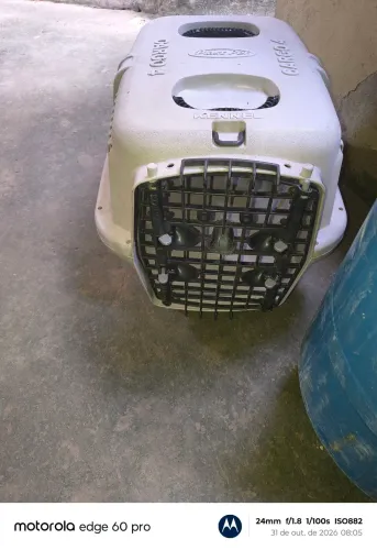 Caixa de transporte para pet
