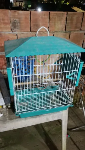 Vendo gaiola chalé