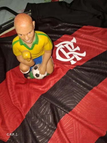 Ronaldo Fenômeno / Vinil