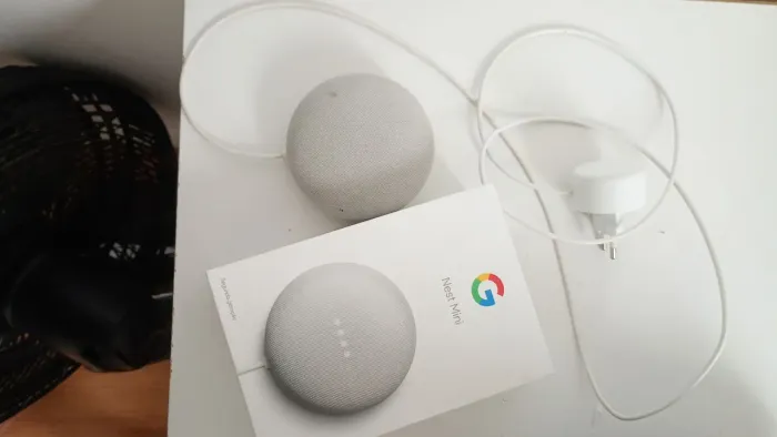 Google Nest Mini