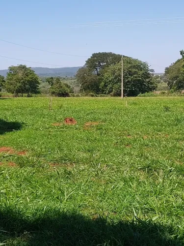Chácara 85 hectares próxima a sidrolandia