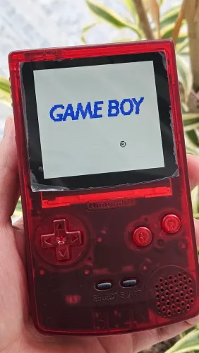 Funny Playing Game Boy Color - FPGBC