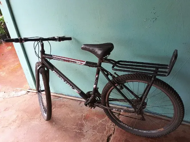 Bicicleta adulta