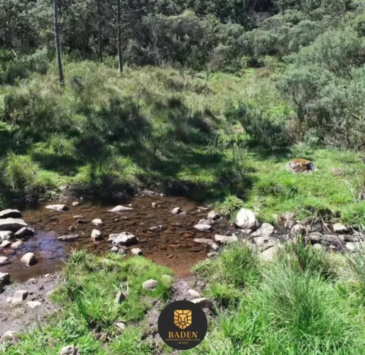 Excelente oportunidade de investimento na Serra do Rio do Rastro! Terreno 20hectares á ven