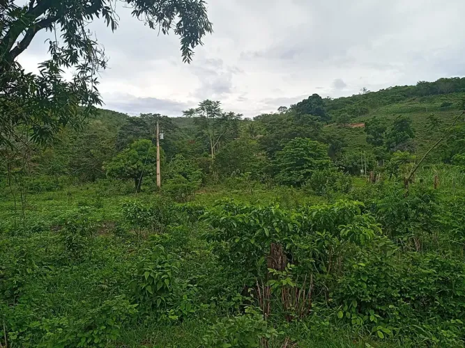 Araçuaí/MG propriedade rica em minérios  - Morais-Araçua-MG