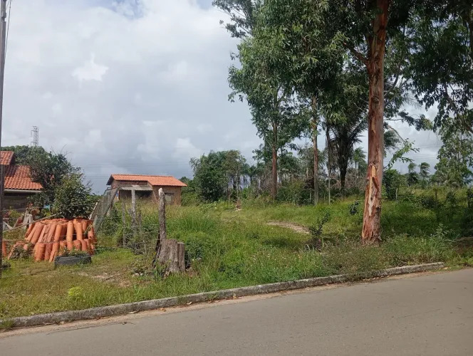 Vendo sítio na estrada do cajupari, zona rural de São Luís asfalto na porta