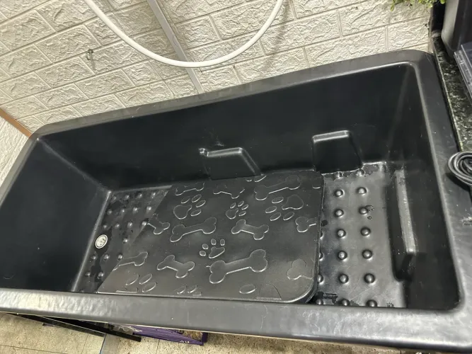 FUNDO DE BANHO E TOSA OPORTUNIDADE!!