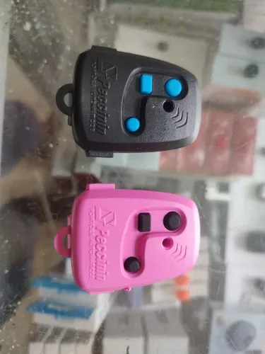 Controle portão peccinin