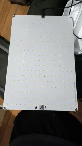 Quantum board Led para plantio 120w