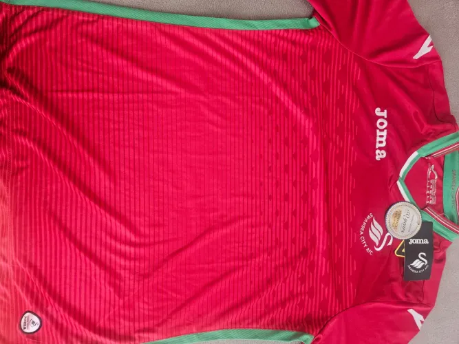 Camisa futebol Swansea City