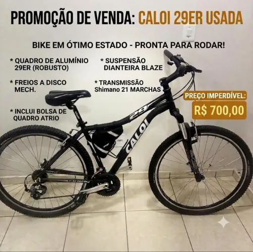 Bicleta Caloi 29 ER