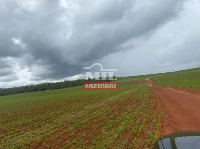 Fazenda 217 Alqueires (1.050,28 Hectares) Padre Bernardo - GO