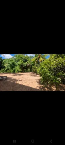 Terreno no povoado camboata com casa