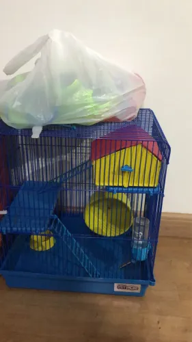 Casa para hamnster 