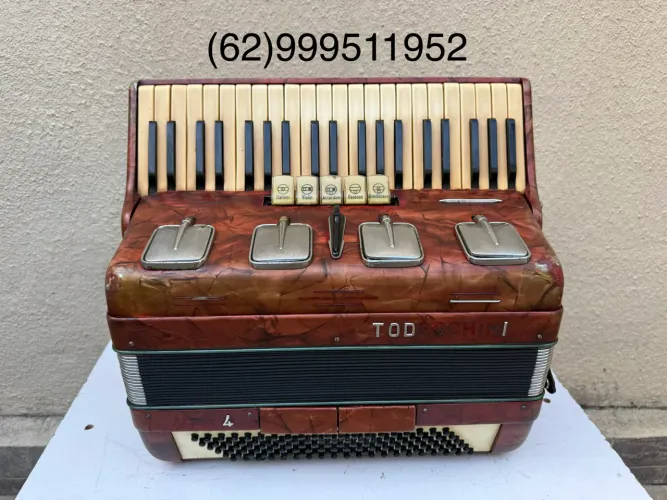 Acordeon sanfona gaita Todeschini 120 baixos artes redondas ano 1965