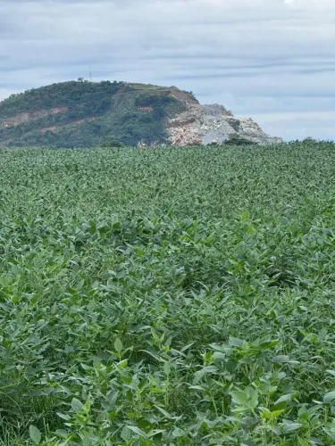 Fazenda de arrendamento soja 500hec em Formoso do Araguaia TO.
