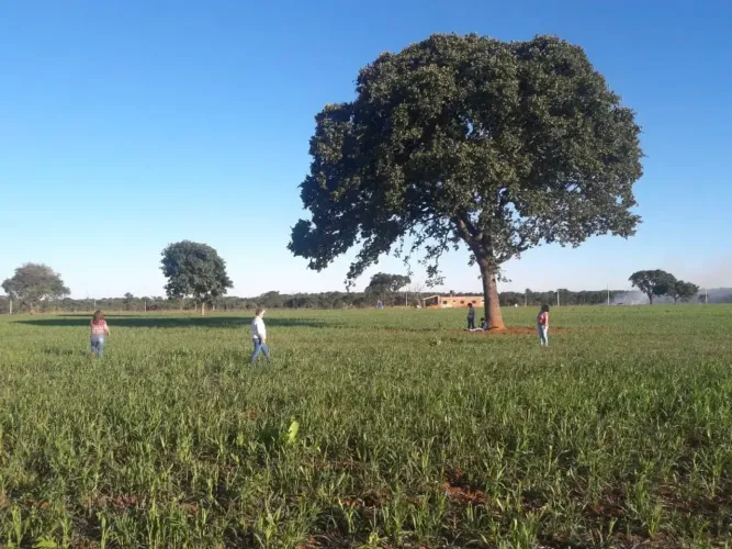 -Chácara em condomínio