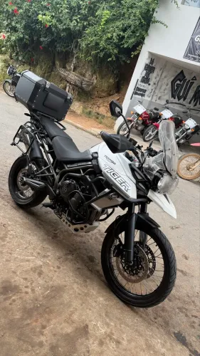 TIGER 800 XCX 2019